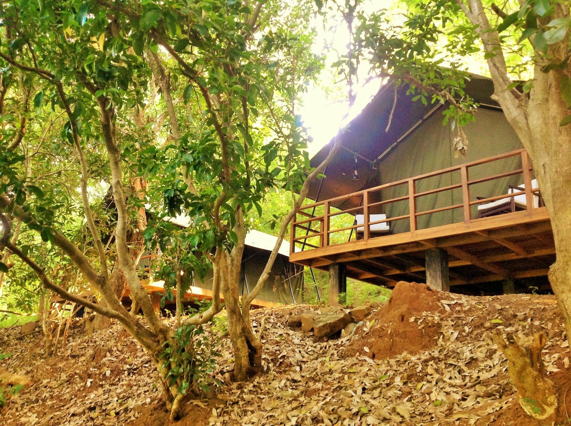 Kula Kula Luxury Camping Resort Uda Walawe Extérieur photo